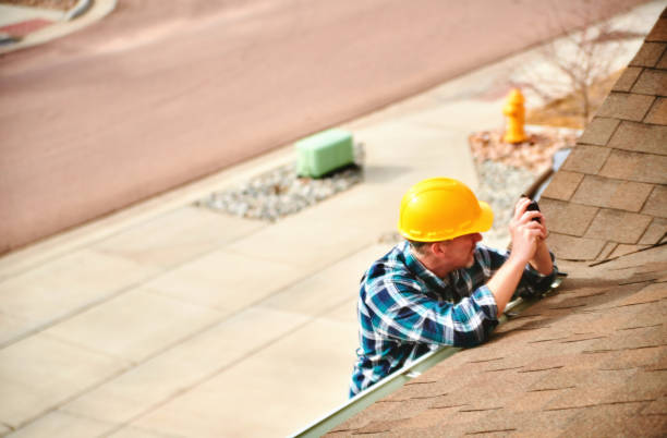 Best Roof Gutter Cleaning  in Baldwyn, MS